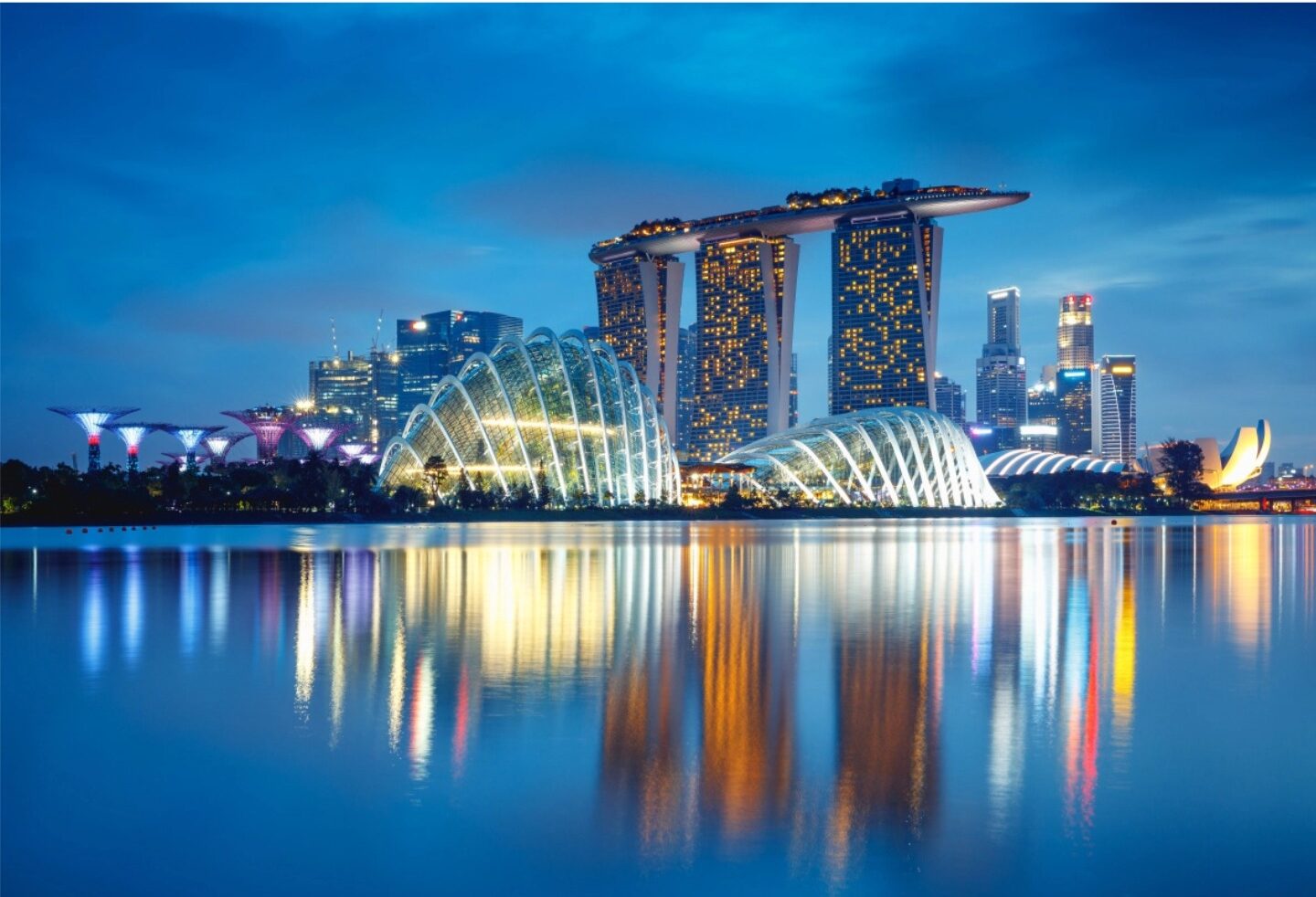 Singapore Self-Employed Employment Pass (EP)