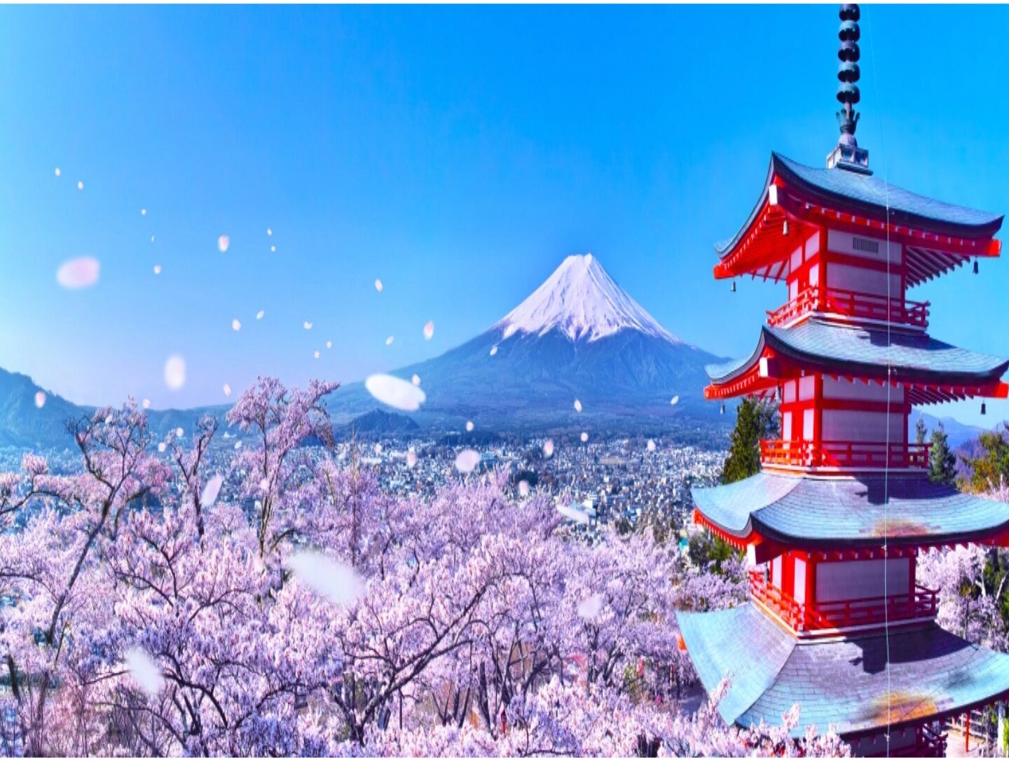 Japan Business Manager Visa