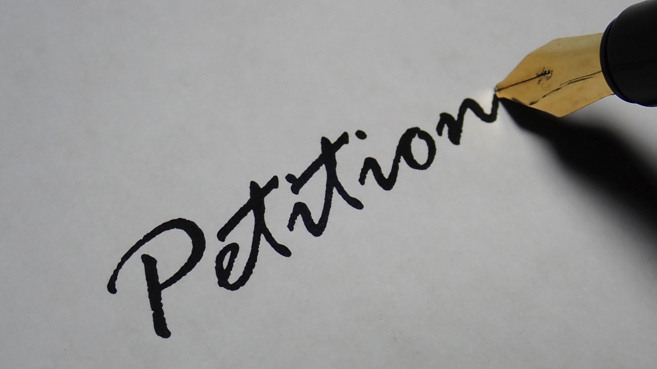 L1 Blanket Petition vs Individual Petition: Which Option Is Right for Your Business?